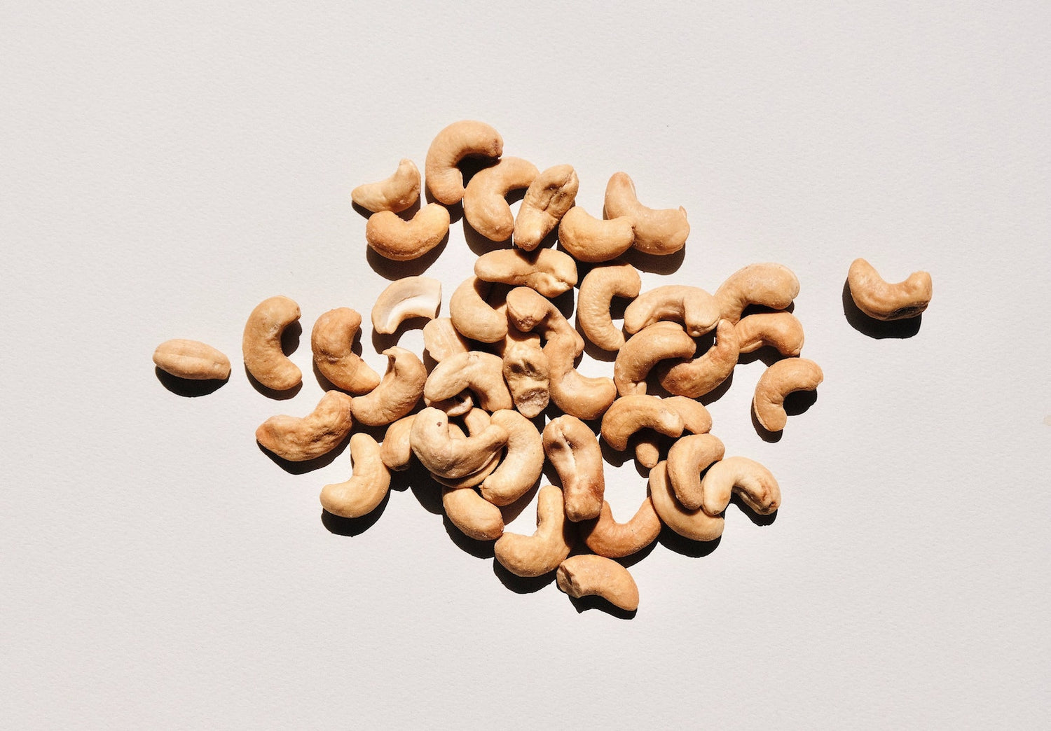 Cashews used to make a cashew spread with the LEVO.