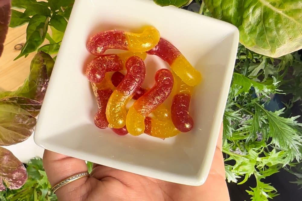 What Are the Best Edibles for Improved Mood
