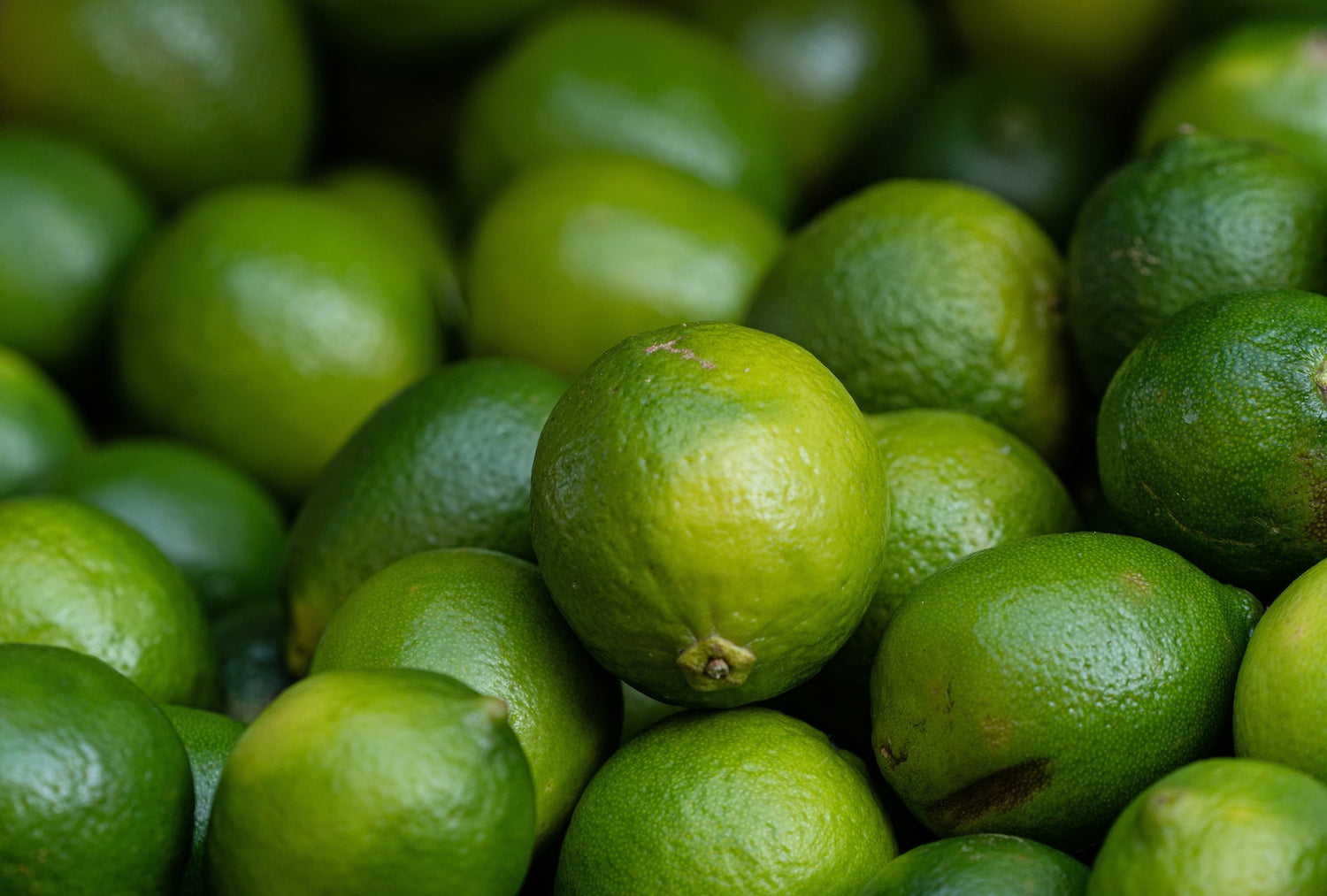 Limes used to make the key lime fat bomb recipe by LEVO.
