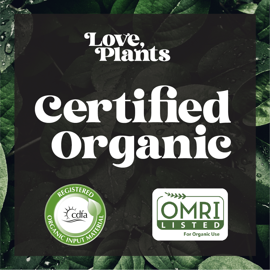 Tropical Houseplant Care Kit