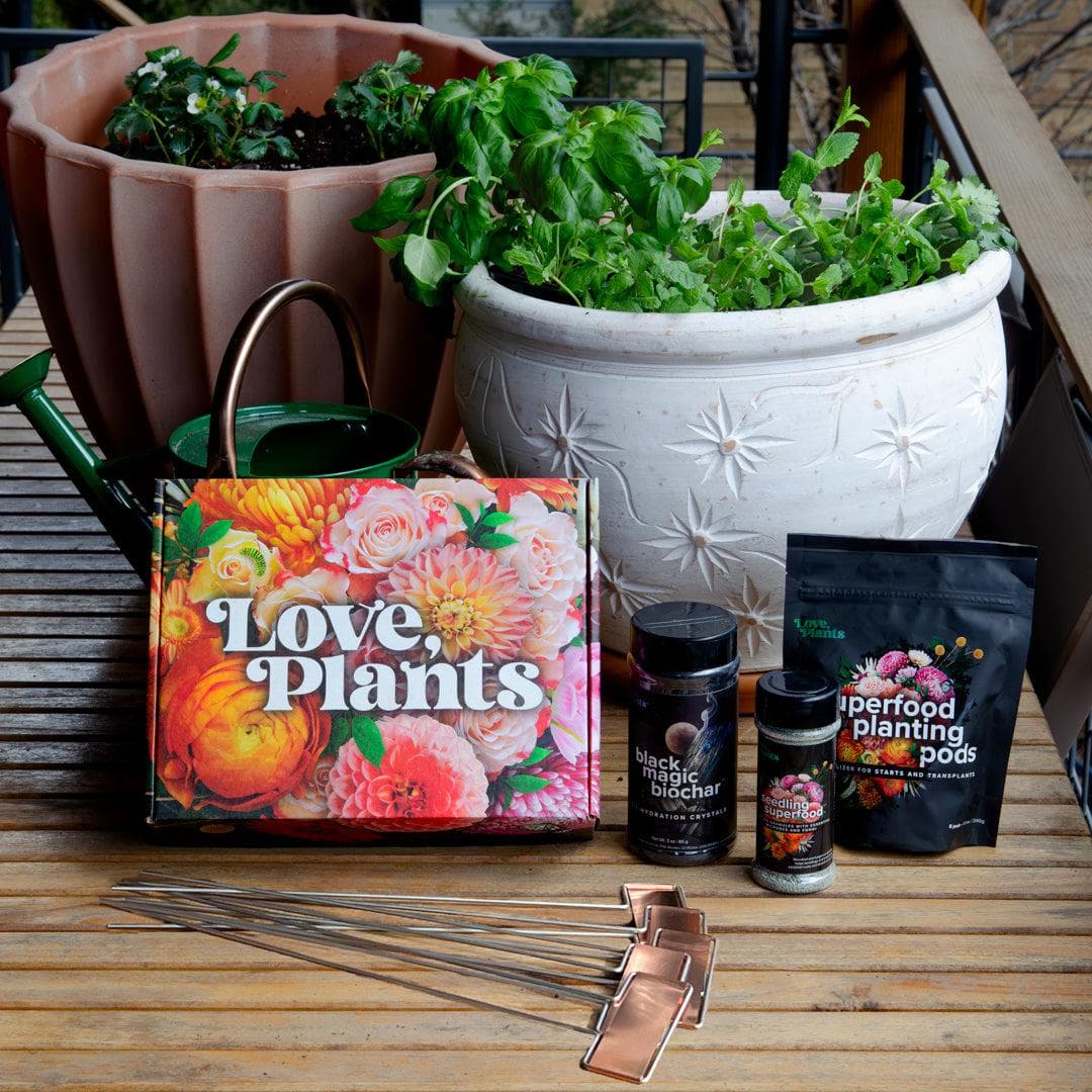 Seed, Start & Transplant Success Kit
