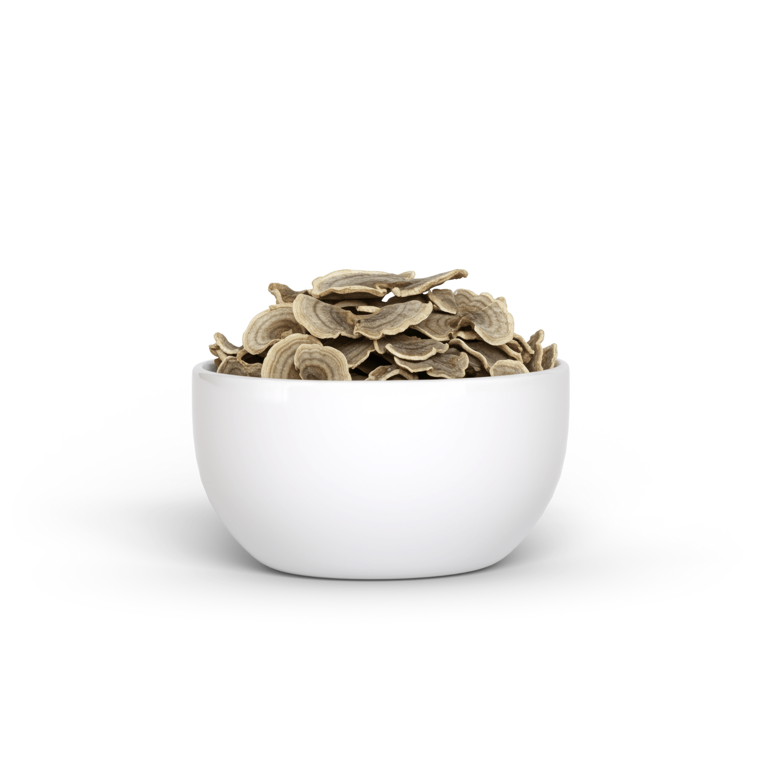 Organic Turkey Tail Mushroom (15 g)