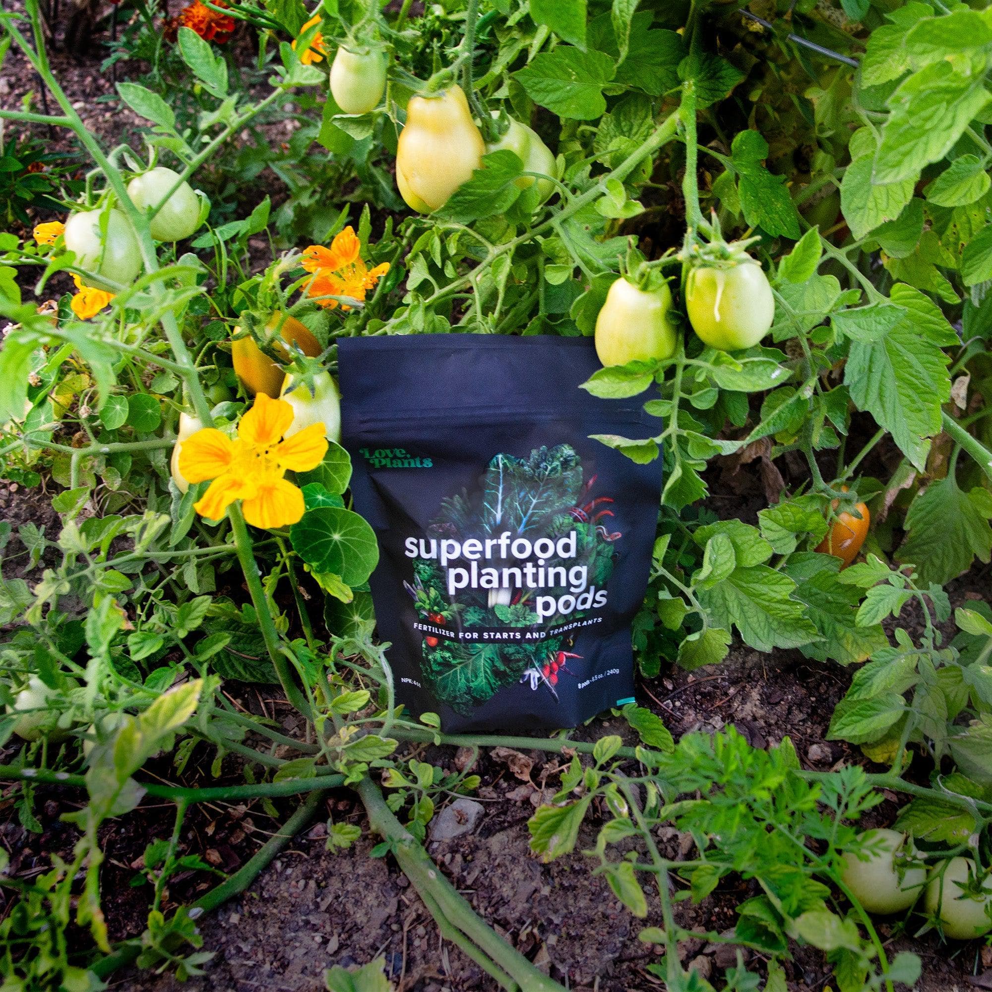 Seed, Start & Transplant Success Kit