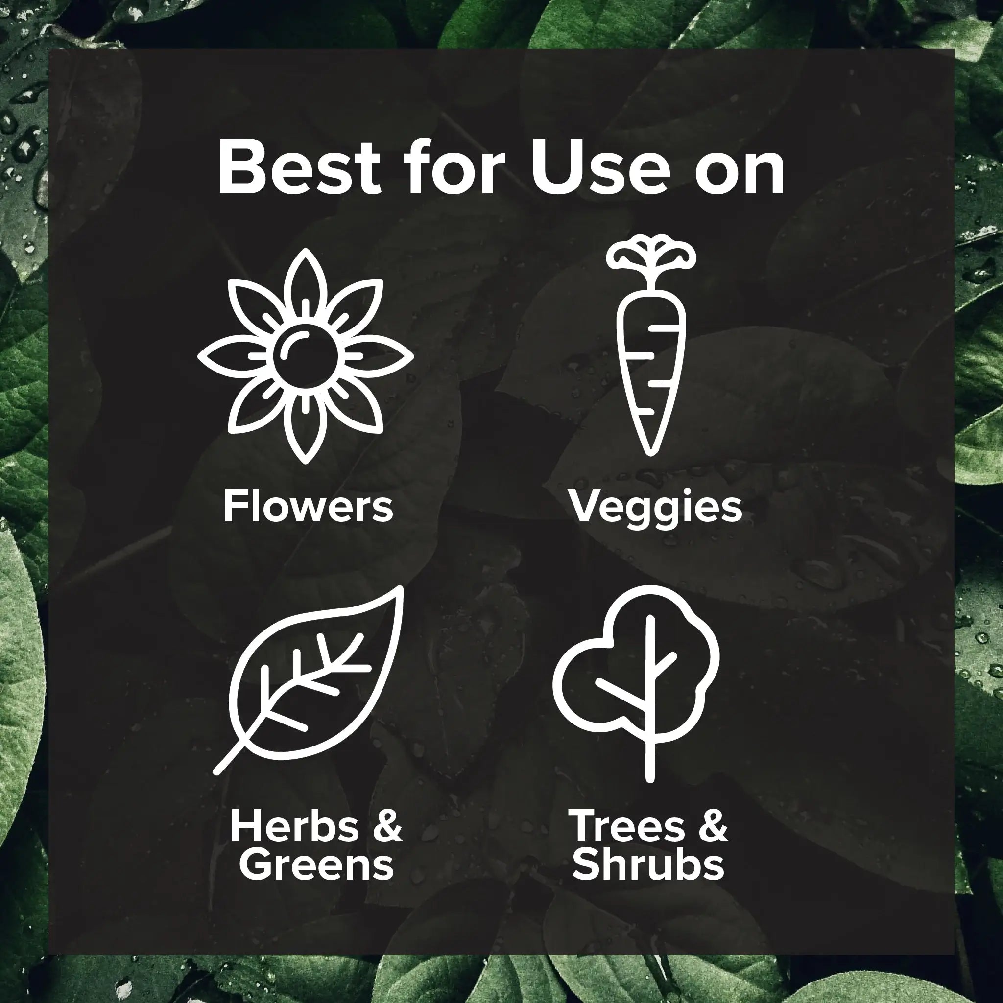 Seed, Start & Transplant Success Kit