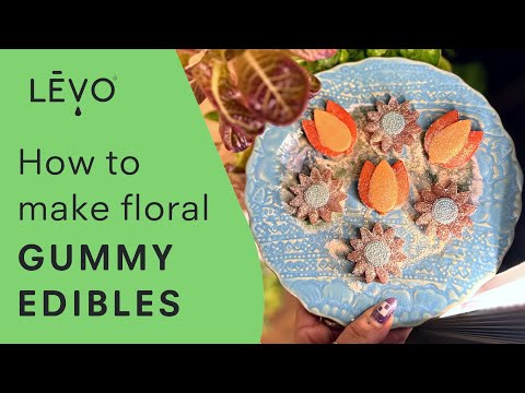 Make delicious gummies with precision using The LĒVO Gummy Candy Mixer.