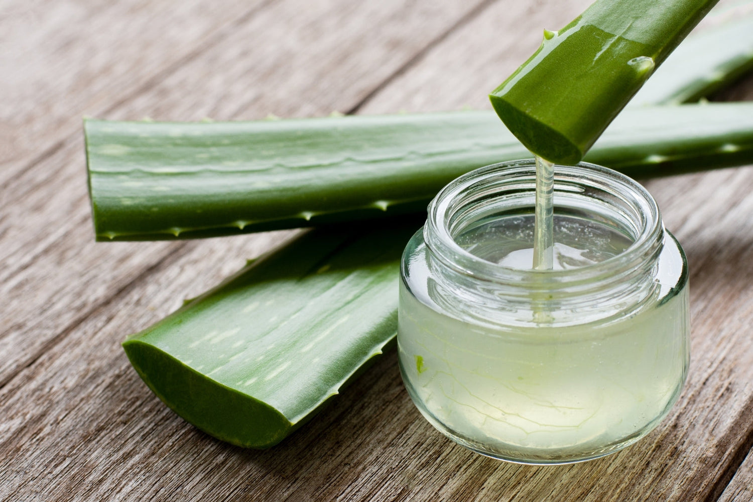 LEVO aloe vera gel in a glass container, with aloe vera parts.