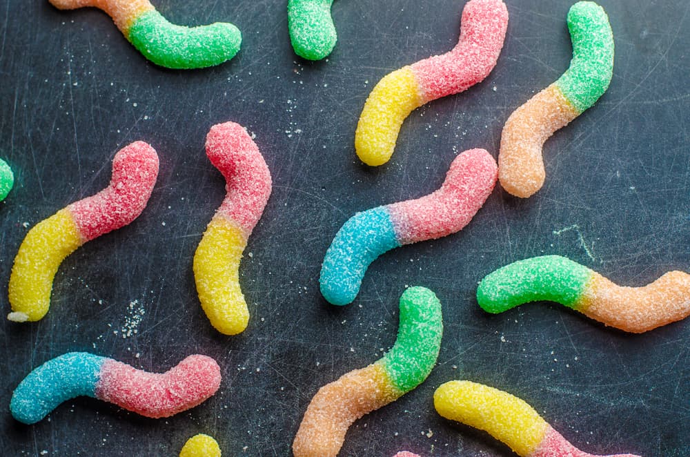 How To Make Gummy Worms with the NEW LEVO Gummy Candy Mixer 
