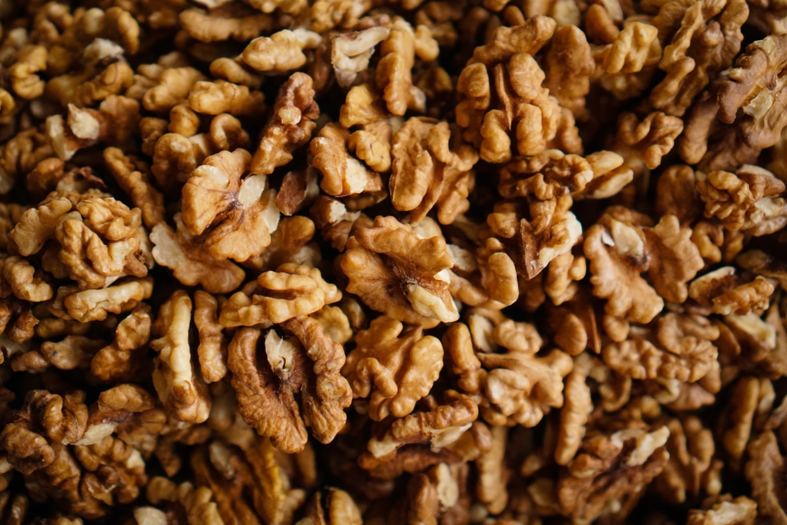 Image of walnuts. Learn how to make walnut oil by following LĒVO's recipe.