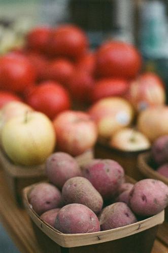 Image of roasted sweet potatoes and apples recipe by LEVO.