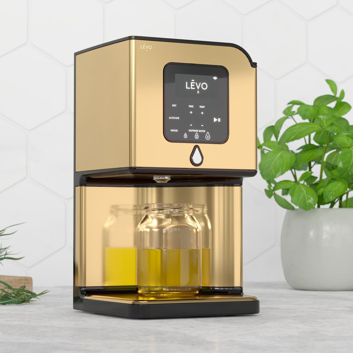LĒVO Lux in Gold with jars of infused oil #Color_Gold