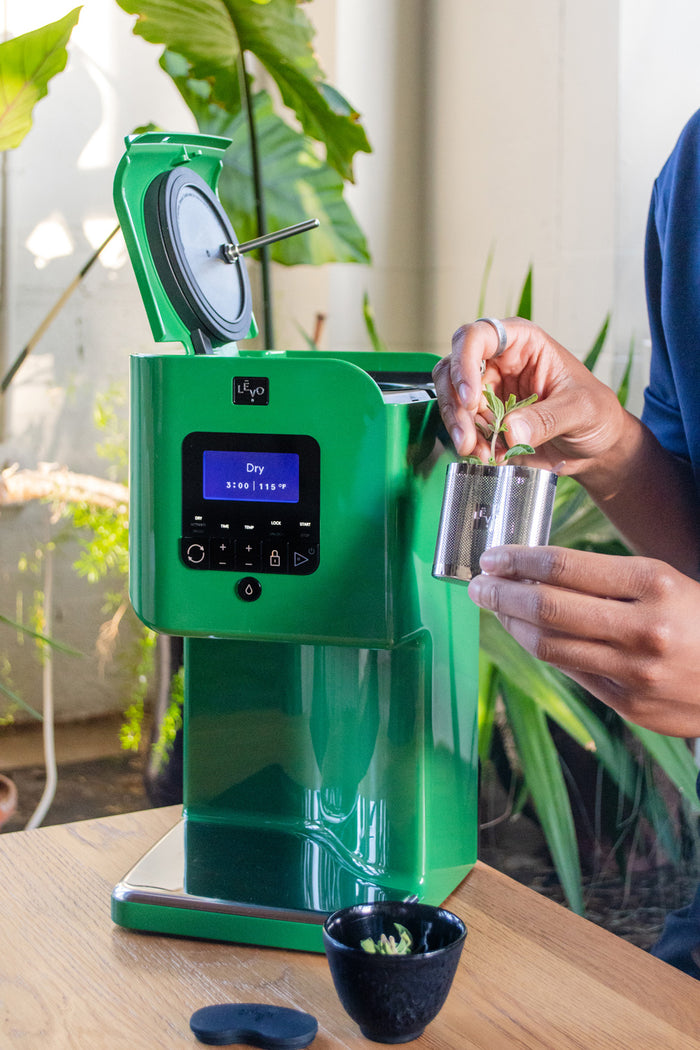 LEVO Oil Infusion Machine Holiday Gifts