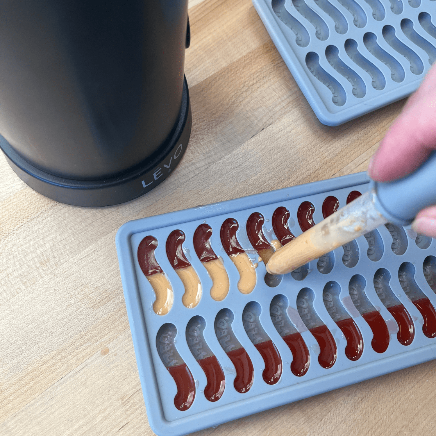 LĒVO Gummy Worm Silicone Candy Molds - Set of 2 Candy Mold Trays with  Dividers & Snap On Lids - Make Your Own Two Tone Gummy Worms - For Your  LĒVO