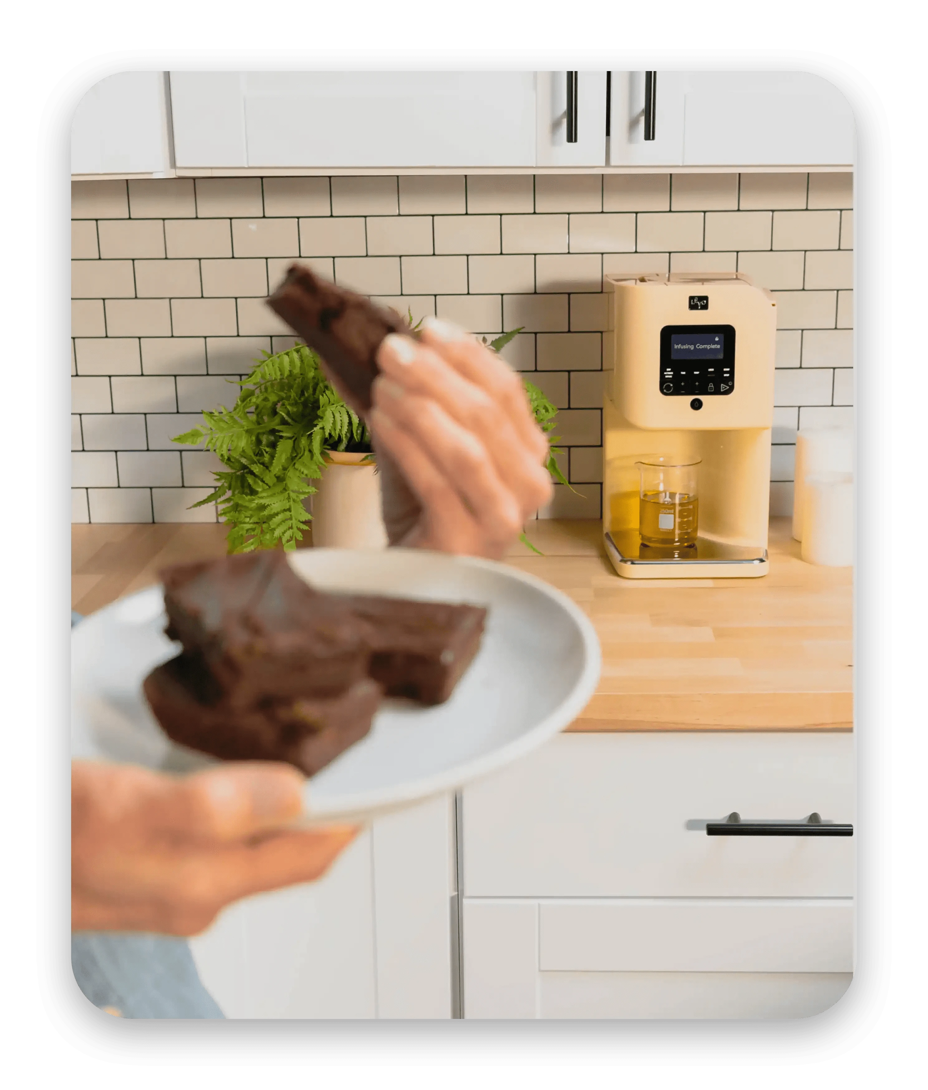 Levo Hello Why LĒVO? The World’s First and Best-Selling Automated Infuser