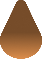 Bronze Brownie