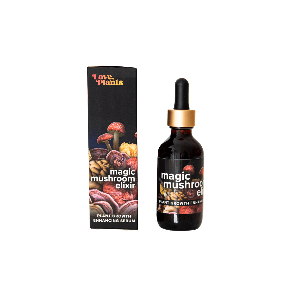 Magic Mushroom Elixir Magic Mushroom Elixir